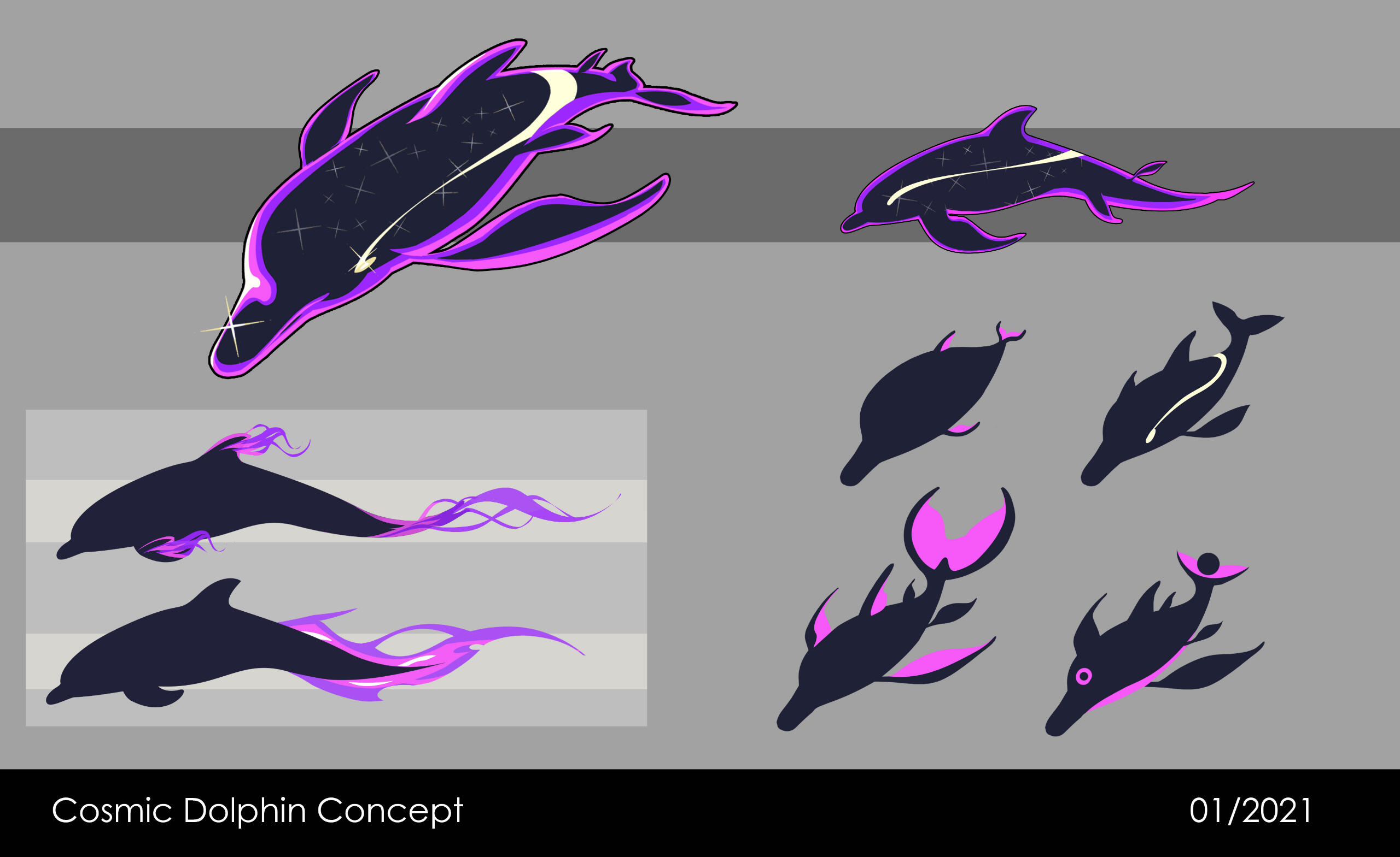 Cosmic Dolphin Concept